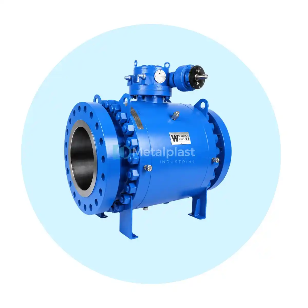 Válvula de Bola Trunnion - Imagen 2