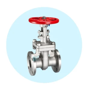 Válvula de Compuerta Bridada Acero Inoxidable CF8M Warren Valve